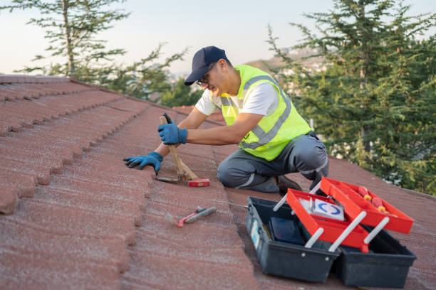 Best Storm Damage Roof Repair  in Milmay, NJ